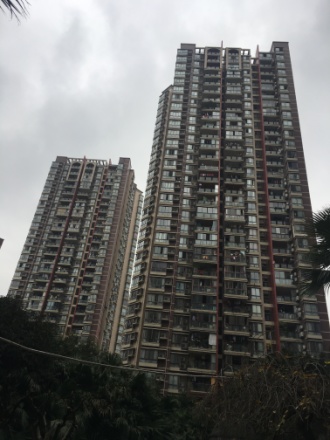 龙湖大城小院