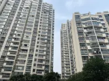 内环内,电梯高区,南北户型,房龄新,业主诚意出售