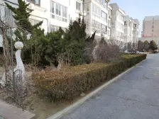 翠竹小区三室精装修,中间楼层,拎包入住