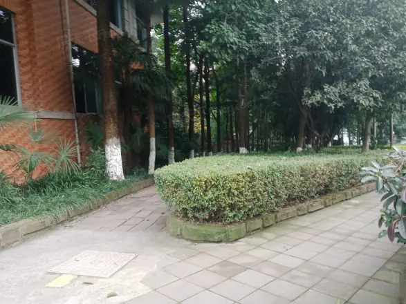 新东福花园实景图