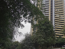 弹子石 阳光100国际新城二房122万