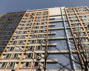金色夏威夷1室0厅东南