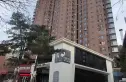 青云映山实景图