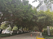 网红打卡景点,南滨路上,看江视野广,居家舒适