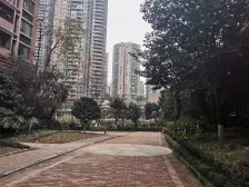 南滨路,看江大平层,业主急售,急急急售,急急急急