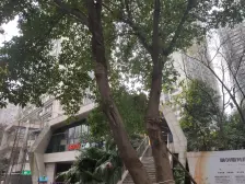 南坪商圈轻轨精装一室+中间楼层采光视野好