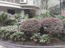 沙滨路 华宇金沙港湾A区三房99万