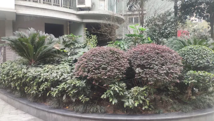 华宇金沙港湾A区实景图