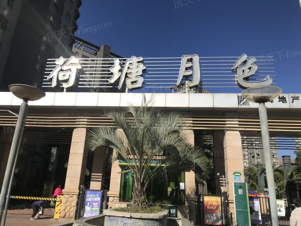 荷塘月色实景图