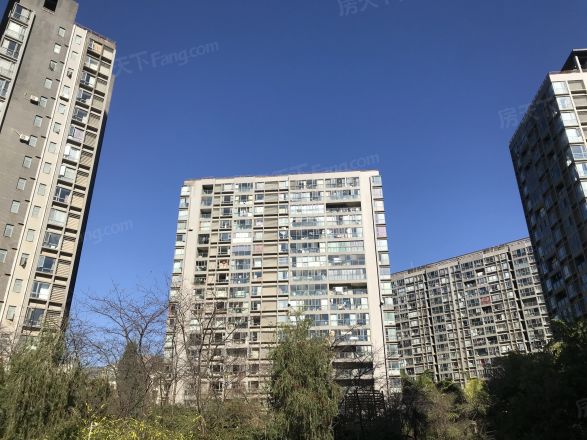 荷塘月色实景图