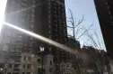 宝境檀香实景图