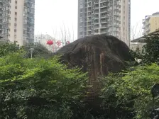 顺祥壹街区 1室1厅 东南