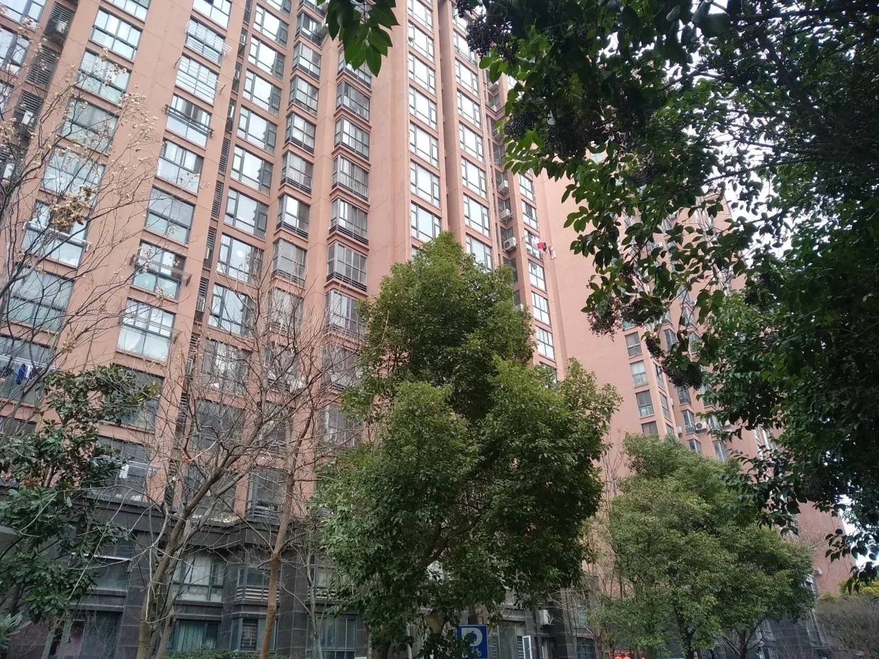 鑫苑国际城市花园苏州