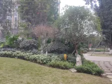 微电园轻轨,天街旁,清水大两房 大阳台