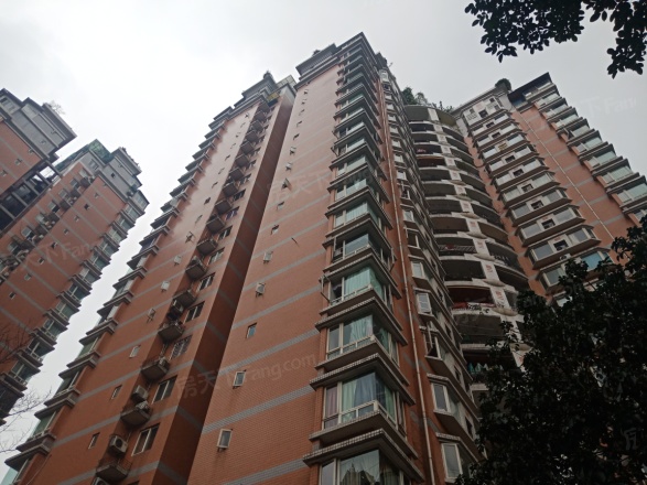 新东福花园实景图