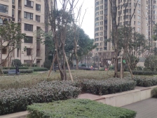 西永 龙湖好城时光三房78万