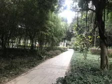 大渡口 顺祥壹街区 1室0厅