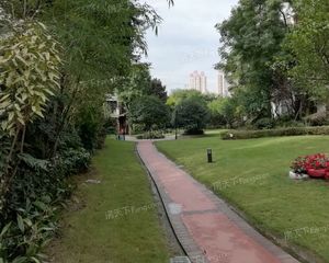 北欧知识城3G广场1室1厅南