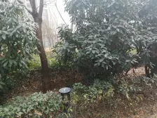 升龙又一城3号院 交通便利 楼龄新 南北通透 临地铁