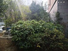 晶华城 3室1厅 东