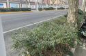 江宁路772号实景图