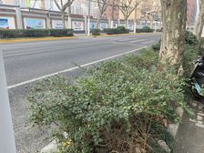 业主诚心出售,朝向好,楼层好,采光好