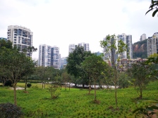 西区 立邦香语湖四房190万