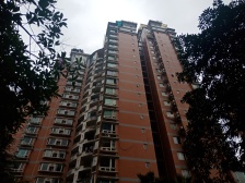 菜园坝 新东福花园三房98万