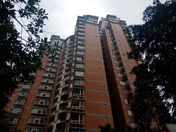 新东福花园实景图