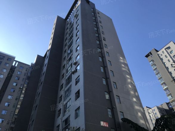 荷塘月色实景图