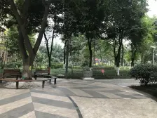 巴国城 诗情广场 精装大四房 楼层好 视野开阔