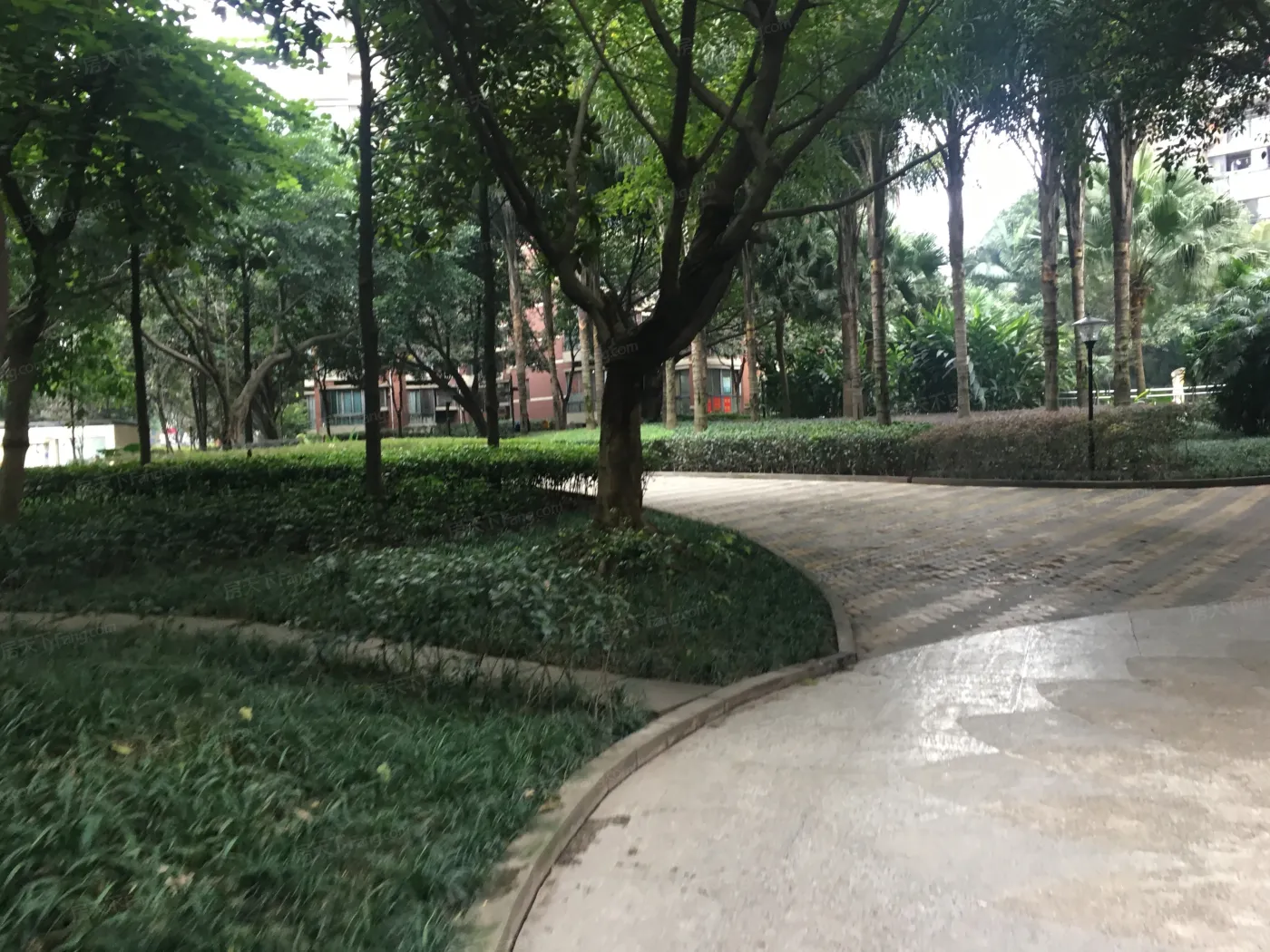 龙湖大城小院实景图