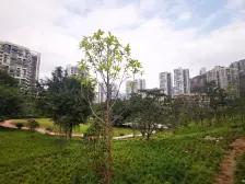 香语湖 精装两室 朝中庭 出售