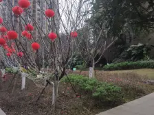 首创光和城一期 1室1厅 东南