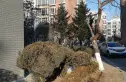 国奥现代城五期实景图