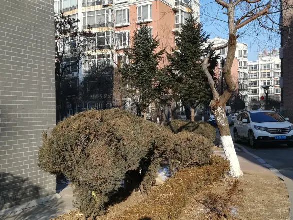 国奥现代城五期实景图