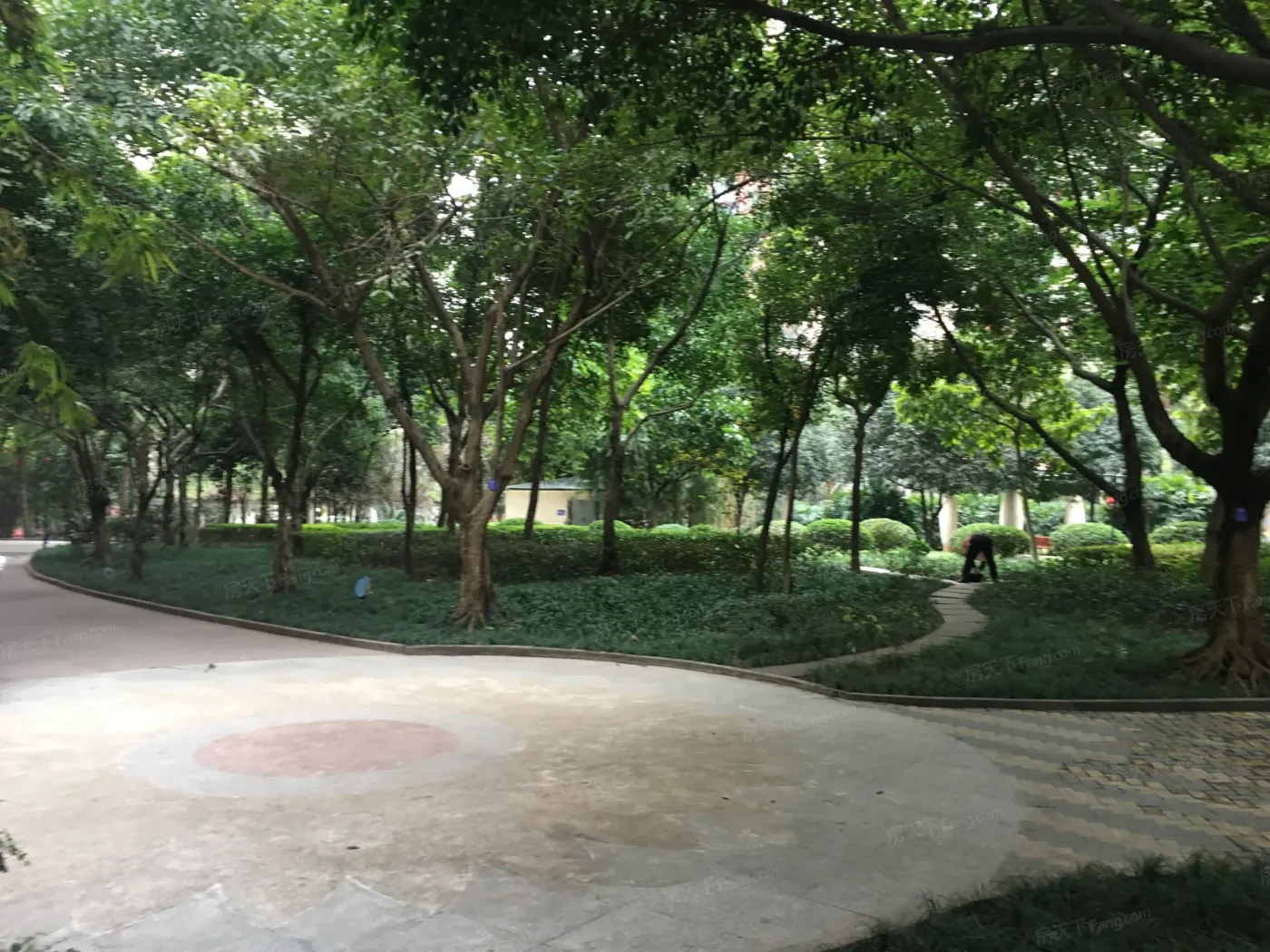 龙湖大城小院实景图