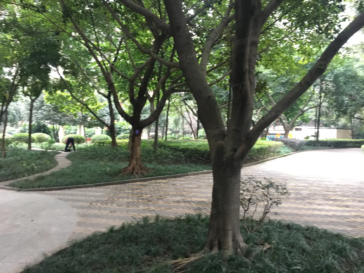 龙湖大城小院实景图