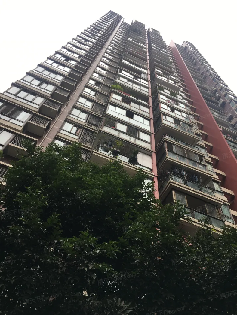 龙湖大城小院实景图