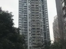 双山 中交丽景三房120万