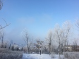 雾凇美景