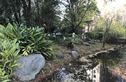 荷塘月色实景图