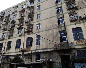 装修佳,采光充足,交通便利,保养好房东诚心卖