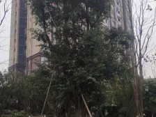 西永 首创光和城二房72万