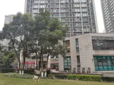 南坪 亚太1房 配套齐全 出行方便