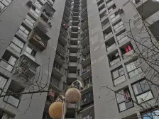 江山里4房看江看南山,居家安静,实得面积143平