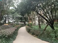 心巢御园 1室1厅 南