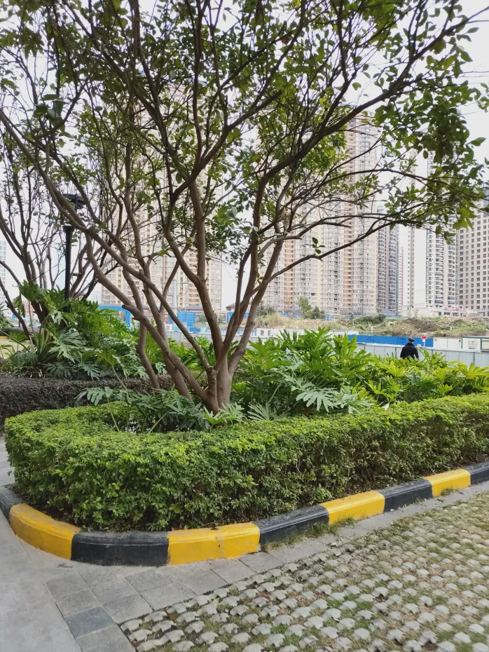 【南宁荣和千千树小区,二手房,租房】- 南宁房天下