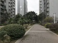 斌鑫西城绿锦 2室2厅 南