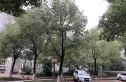 金泉泰来苑实景图